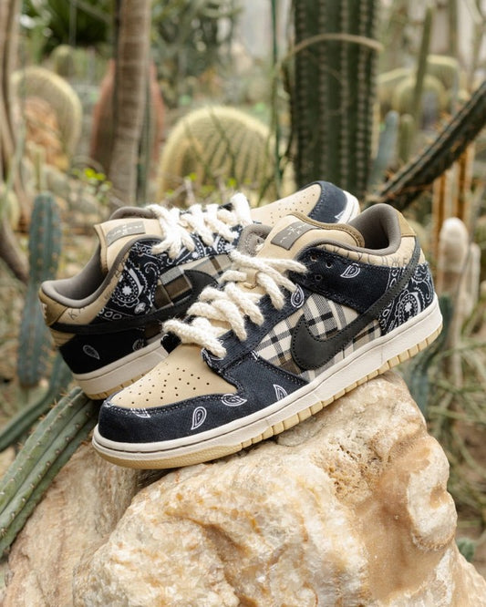 Nike SB dunk low pro